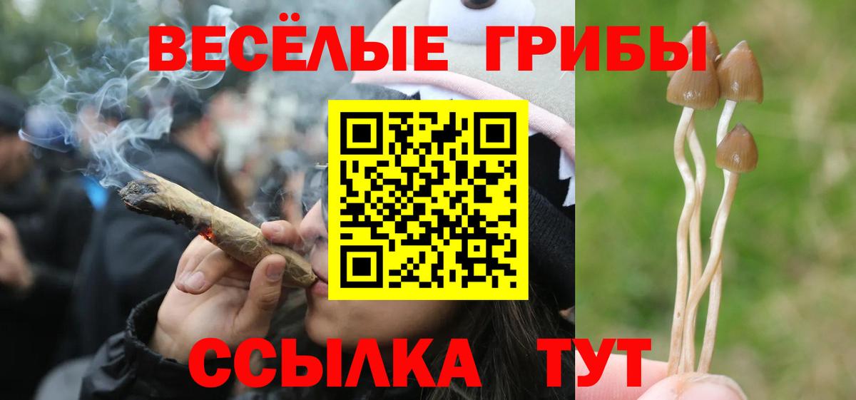 Галлюциногенные грибы MAGIC MUSHROOMS  Вход с VPN  наркошоп  Псилоцибиновые грибы GOLDEN TEACHER  Усолье-Сибирское 